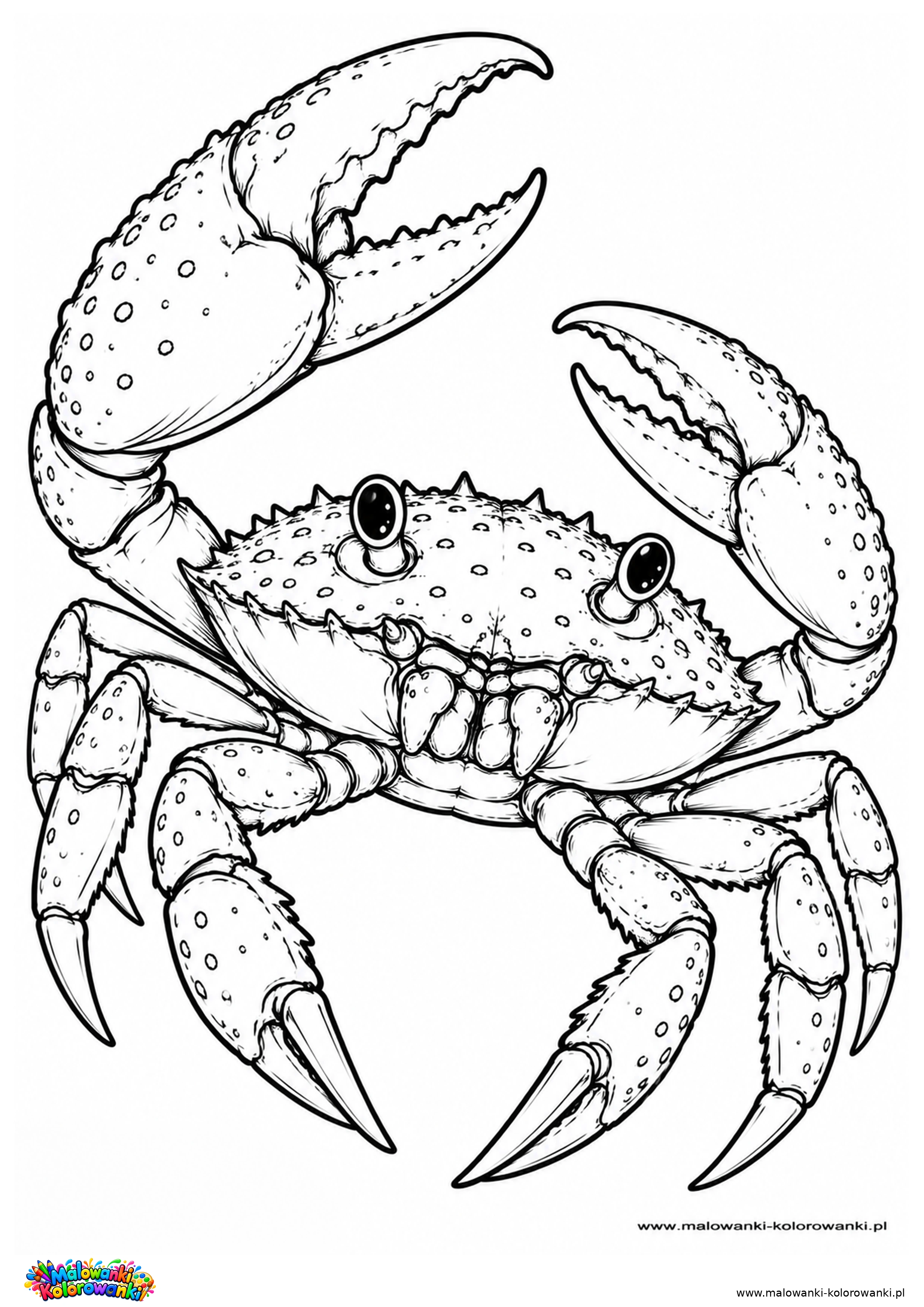 Krab 040519
